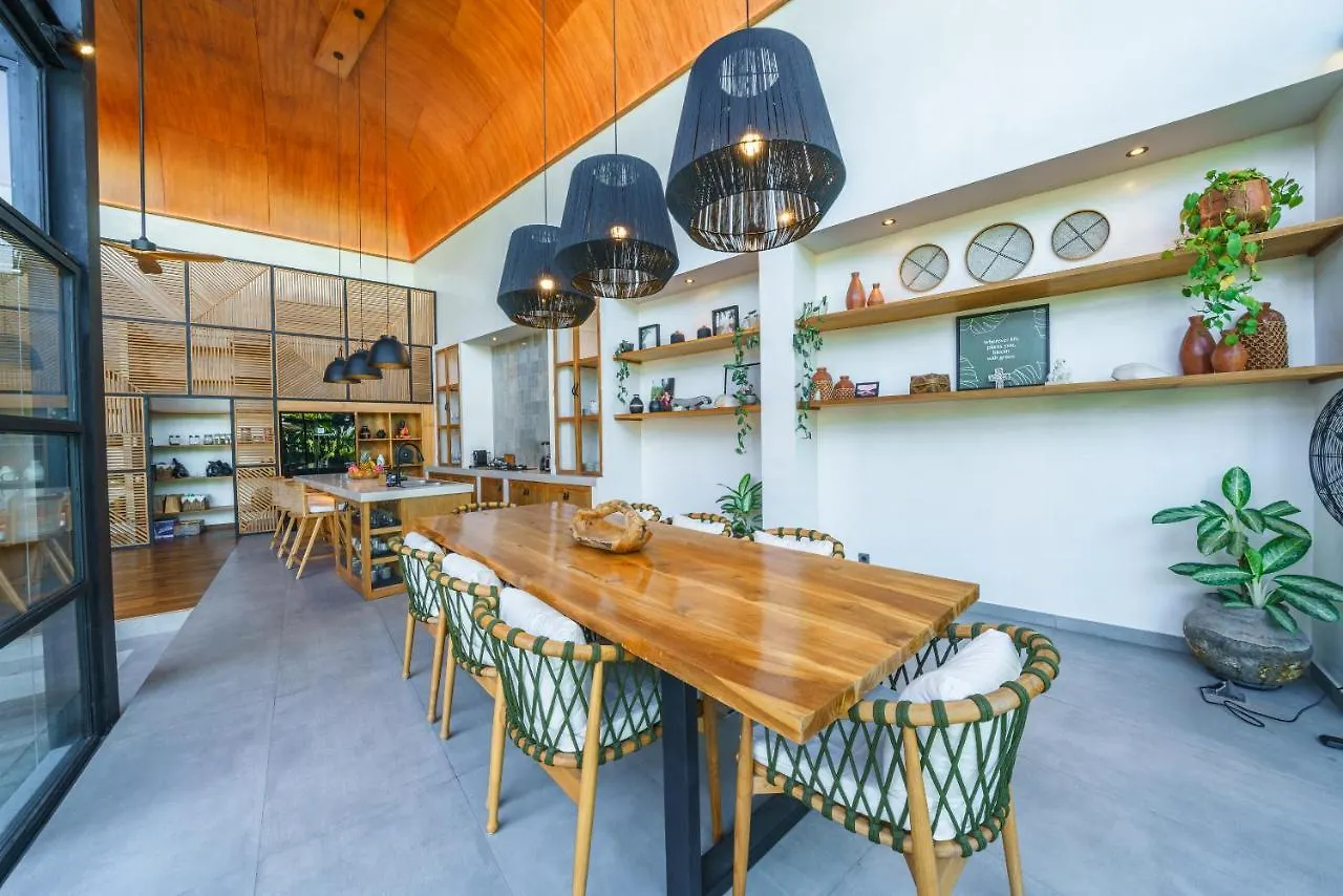 Villa Mango 3 - Amazing 4-Bdr Villa In Berawa ! Perfect Location ! Canggu  Canggu (Bali)