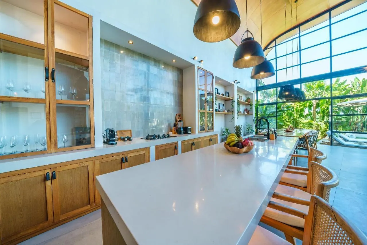 Villa Mango 3 - Amazing 4-Bdr Villa In Berawa ! Perfect Location ! Canggu  Canggu (Bali)